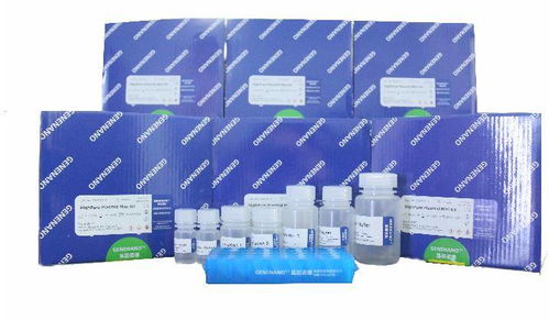 科技創(chuàng)新 這家渝企自主開發(fā)生物醫(yī)藥技術(shù)有望開創(chuàng)腫瘤早診新局面